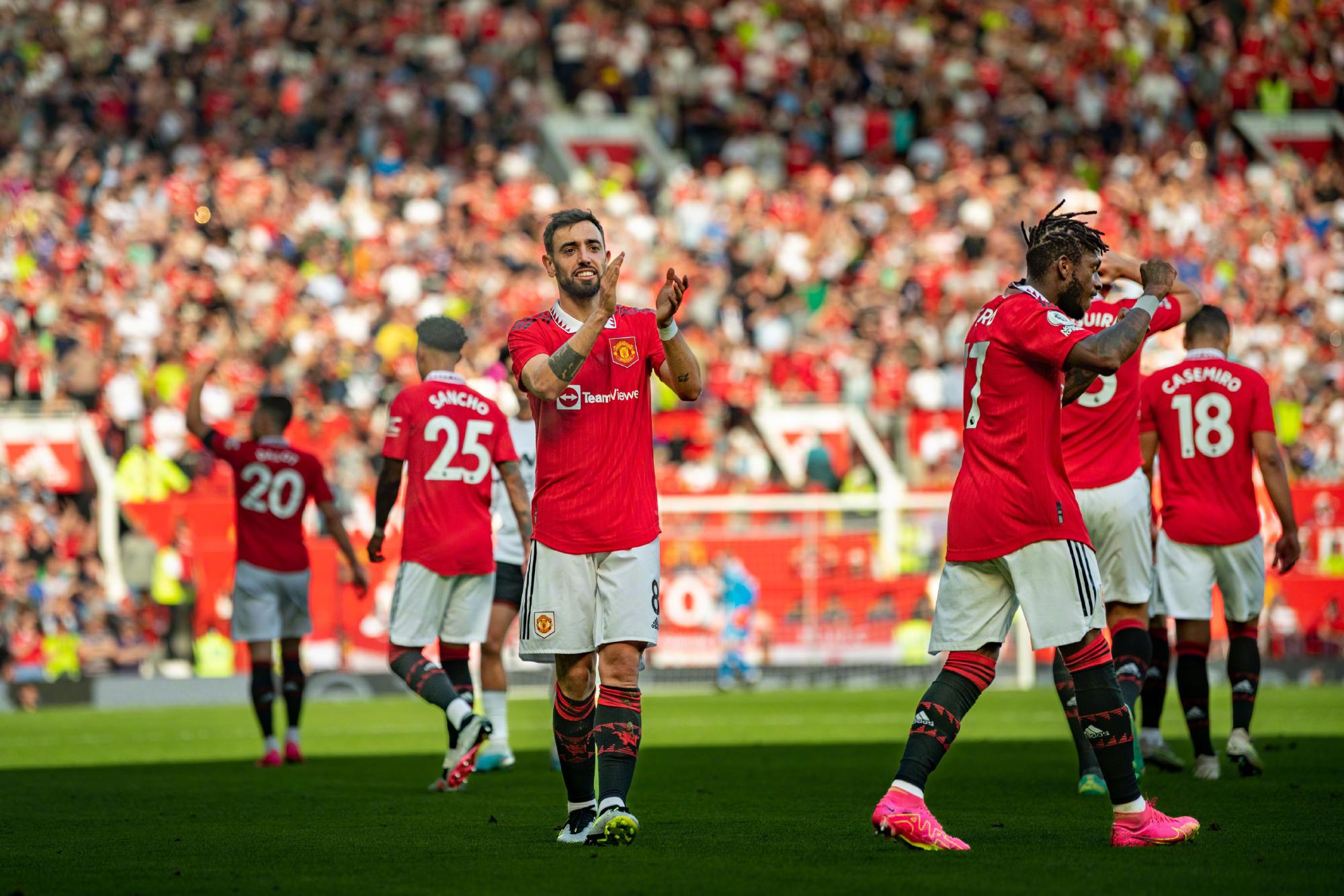 仅激起了对 仅激起了对