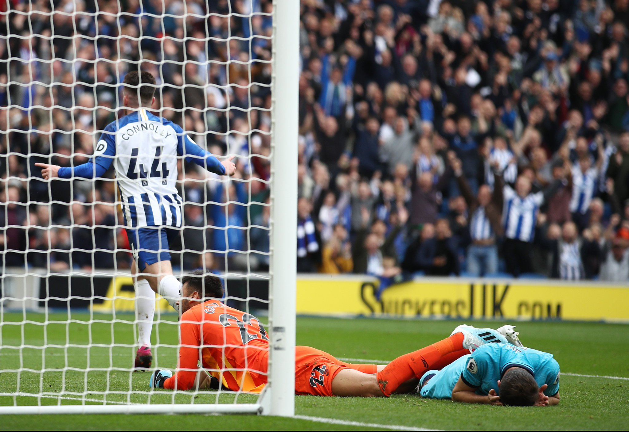 他指挥球队 他指挥球队